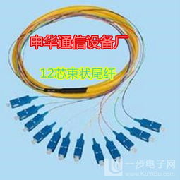 12芯束狀尾纖 通信設備銷售中的關鍵組件與高效供應